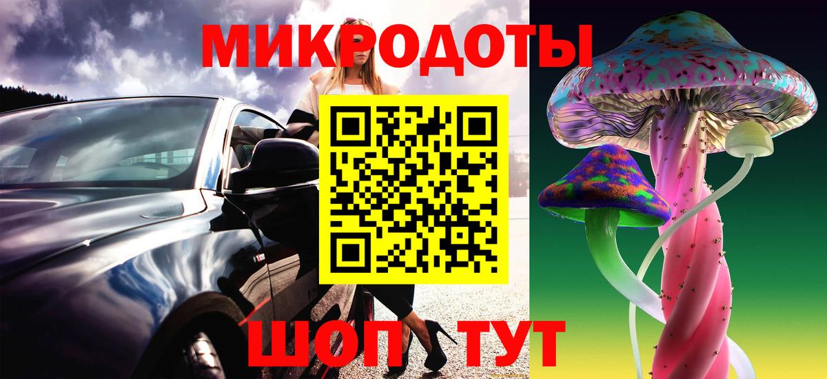 Галлюциногенные грибы Cubensis Красный Сулин